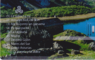 Imagen lápiz memoria Vicente Díaz a mi tierra